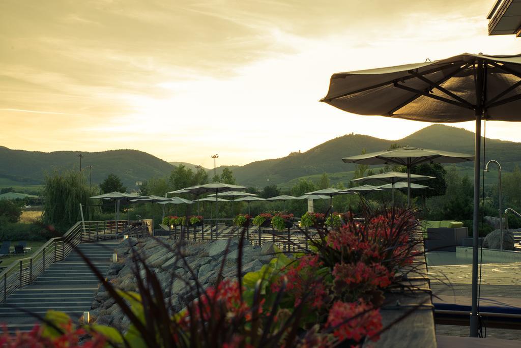 Hotel Barriere Ribeauville Экстерьер фото