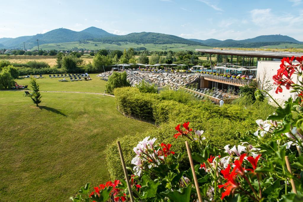 Hotel Barriere Ribeauville Экстерьер фото
