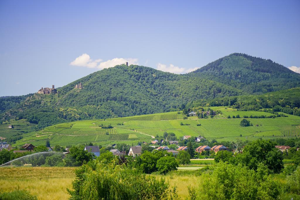 Hotel Barriere Ribeauville Экстерьер фото